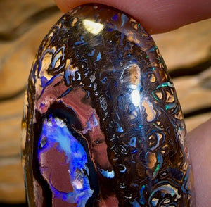 62.6cts - Koroit Nut Kernel Opal with Tribal Pattern Combination, Double Sided