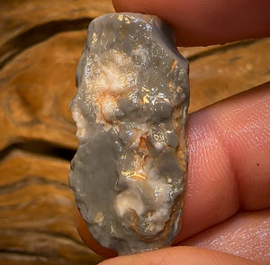 Auction Fall-Through = Your Gain! 🔥 Now More Than 50% Off RRP 🚨 27.6cts - Lightning Ridge Wood / Vegetation Fossil Opal Rough Specimen