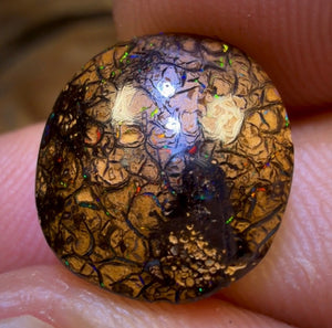 8.4cts - Tan Tribal Yowah Nut Opal. Red Multicolours!