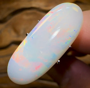 9.7cts - Large South Australian White Opal - Opal Whisperers