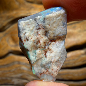 15.1cts - Lightning Ridge Dark Opal Rough Piece