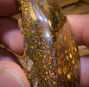 322.1cts - Rare Polished Tribal Yowah Nut Opal Geological Specimen with Gypsum