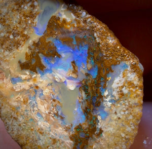 31.5cts - Yowah Fossil Opal Rough Pair. Australian Opal