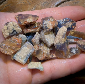 200.8cts - 29x Lightning Ridge Fossil Replacement Opal Rough Parcel Under $2/Ct - Opal Whisperers