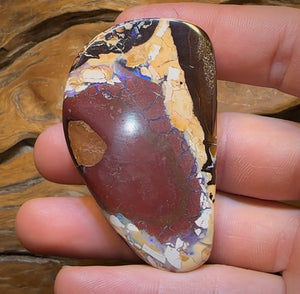 198.7cts - XL Queensland Boulder Picture Stone Opal from Yowah