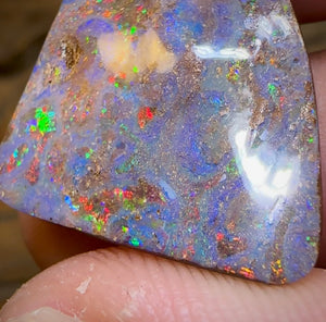 21.9cts - Red Multicolour, Queensland Boulder Opal from Winton - Opal Whisperers