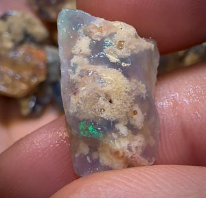 200.8cts - 29x Lightning Ridge Fossil Replacement Opal Rough Parcel Under $2/Ct - Opal Whisperers