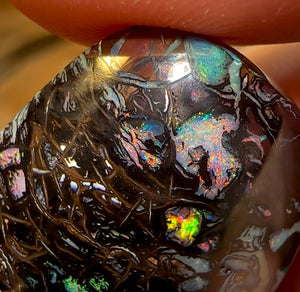 54.7cts - Queensland Boulder Black Opal from Koroit - Opal Whisperers