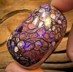 396.1cts - ISAACS CUT!! Large Top Tribal Queensland Boulder Opal Polished Specimen