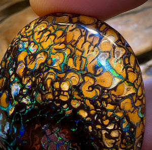 258.1cts - “Crazy Eyes” Top Tribal Yowah Nut Opal Pair. Double Sided