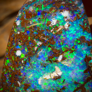 22.7cts - Top Queensland Boulder Opal from Yowah