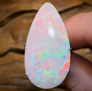 Opal Whisperers Voice Or Full Assessment Certification - Opal Whisperers