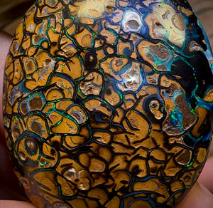 258.1cts - “Crazy Eyes” Top Tribal Yowah Nut Opal Pair. Double Sided