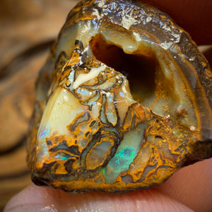 🔨 AUCTION 🔨 No Reserve 42.7cts - Tribal Yowah Nut Opal Rough Piece