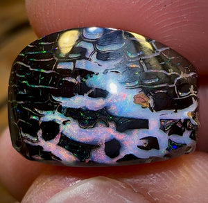 18.4cts - “Electric Zebra”Top Tribal Koroit Nut. Black Ironstone Opal - Opal Whisperers