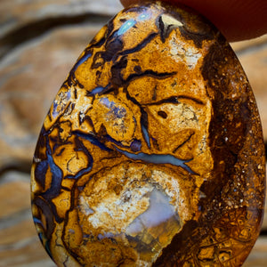 OpalFest WildCard! 22.1cts - Tribal Yowah Nut Opal. Australian Opal