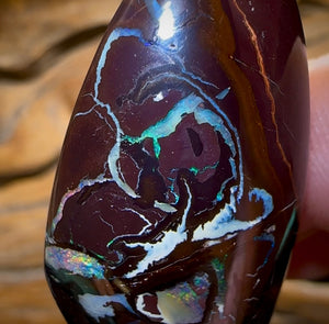 90.3cts - Big Yowah Nut Polished Specimen. Australian Boulder Opal - Opal Whisperers