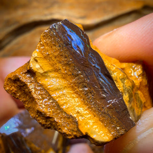 Bargain Card! 206.4cts - 5x Australian Boulder Opal Rough Parcel