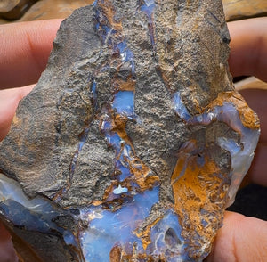 356.3g - Queensland Boulder Seam Opal Rough Specimen - Opal Whisperers