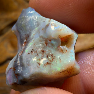 23.1cts - Lightning Ridge Dark Opal Rough Piece