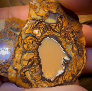 217.1cts - RARE Yowah Nut Crystal Centre Rough Specimen Pair