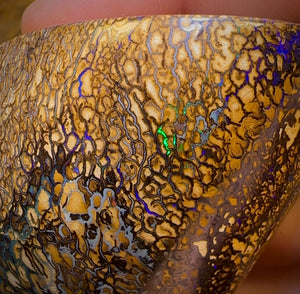 574.5cts - Large Tan Tribal Queensland Boulder Opal. Polished Specimen