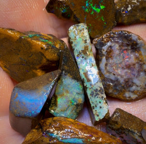 🔒107,8 ct - 11 australische Boulderopal-Rohlinge