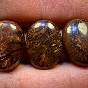 53.5cts - 3x Australian Tribal Boulder Opal’s. Wholesale Parcel