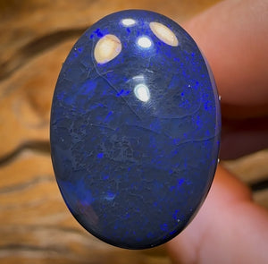 Auction Fall-Through = Your Gain! 🔥 Now More Than 50% Off RRP 🚨 “Dakota Nightfall Blue” 13.8cts - Big Black Opal from Lightning Ridge