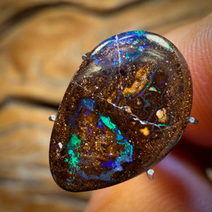 🔨 AUCTION 🔨 No Reserve 7.2cts - Yowah Nut Opal. Australian Boulder Opal