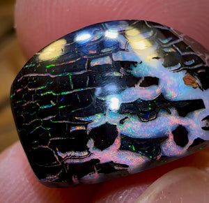18.4cts - “Electric Zebra”Top Tribal Koroit Nut. Black Ironstone Opal - Opal Whisperers