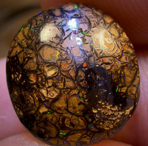 8.4cts - Tan Tribal Yowah Nut Opal. Red Multicolours!