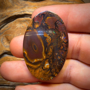 🔨 AUCTION 🔨 72.7cts - Tribal Yowah Nut Opal. Australian Opal