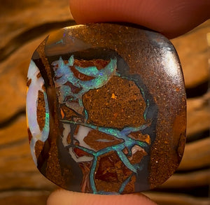 16.4cts - Tribal Queensland Boulder Opal