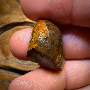 35cts - Partial Yowah Nut Crystal Centre Opal Rough Piece