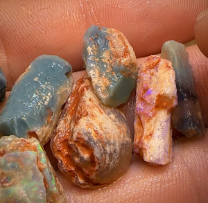 57.9cts - 9x Opalised Fossil Geological Specimens from Lightning Ridge