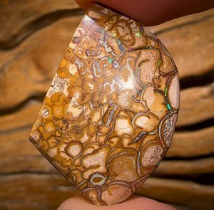 40.6cts - Tribal “Boulder Blonde” Opal. Double Sided