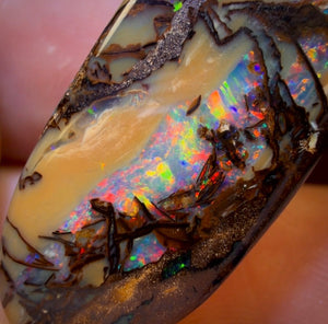 33.1cts - Cathedral AKA Stained Glass Window Australian Boulder Wood Fossil Opal Pair
