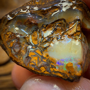 🔨 AUCTION 🔨 No Reserve 42.7cts - Tribal Yowah Nut Opal Rough Piece