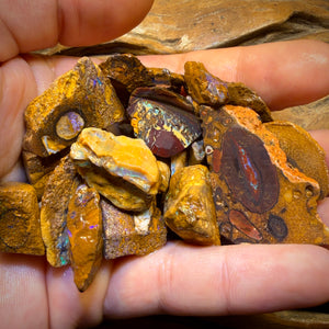 🔒439.5cts - 25x Opalised Wood/Vegetation Fossil Rough Parcel from Yowah