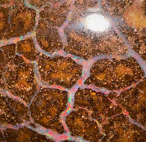 124.2cts - Large Queensland Boulder Opal. Multicolours - Opal Whisperers