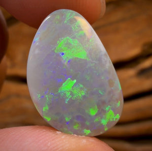 26.1cts - Lightning Ridge Dark Opal PAIR!