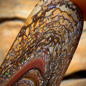 54cts - WILD CARD Tribal Yowah Nut Opal. Australian Opal