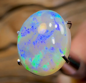 3.1cts - Lightning Ridge Crystal Opal - Opal Whisperers