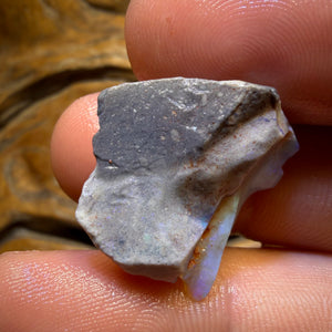 21.1cts - Lightning Ridge Dark Opal Rough Piece