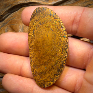 (AO) 107.6cts - Large Tan Tribal Queensland Boulder Opal from Yowah
