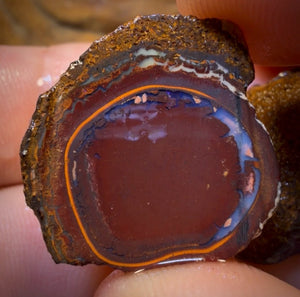 55.5cts - Yowah Nut Partial Crystal Centre Rough Specimen Pair