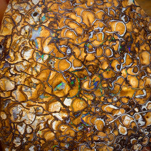 2082cts - HUGE Tribal Australian Boulder Opal Polished Specimen