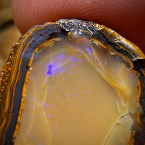 Awesome 🔨 AUCTION 🔨 Action 29.7cts - Yowah Nut Crystal Centre Opal Rough Half