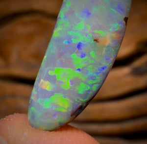 13.4cts - BANGER GEM Rare Fossil Yowah Crystal Opal